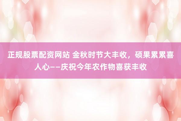 正规股票配资网站 金秋时节大丰收，硕果累累喜人心——庆祝今年农作物喜获丰收