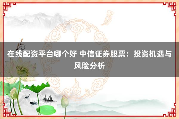 在线配资平台哪个好 中信证券股票：投资机遇与风险分析