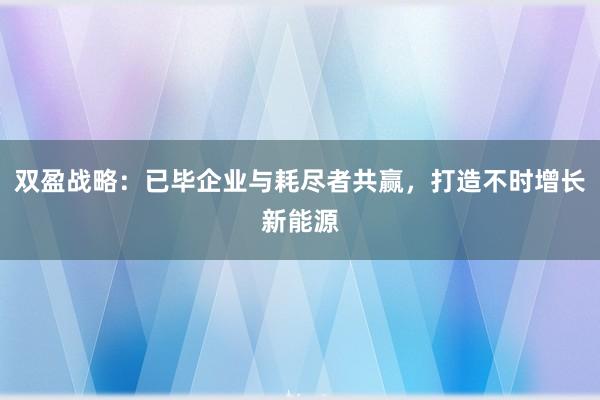 双盈战略：已毕企业与耗尽者共赢，打造不时增长新能源