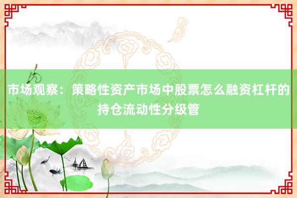 市场观察：策略性资产市场中股票怎么融资杠杆的持仓流动性分级管