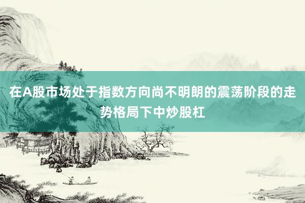在A股市场处于指数方向尚不明朗的震荡阶段的走势格局下中炒股杠