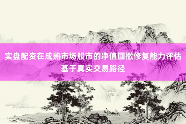 实盘配资在成熟市场股市的净值回撤修复能力评估基于真实交易路径