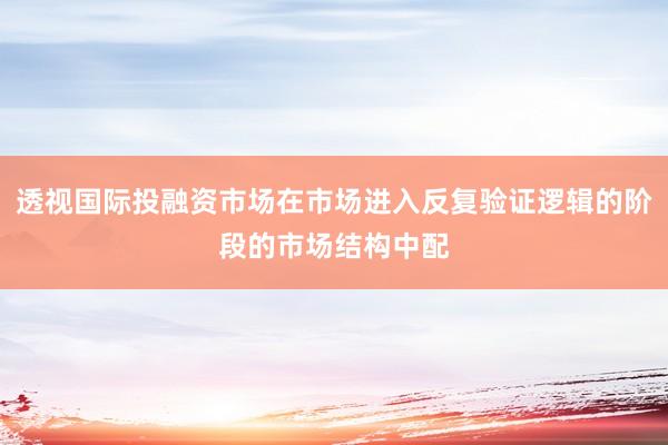透视国际投融资市场在市场进入反复验证逻辑的阶段的市场结构中配