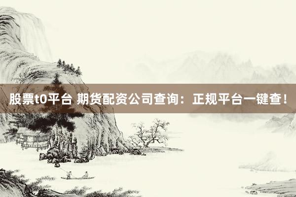 股票t0平台 期货配资公司查询：正规平台一键查！